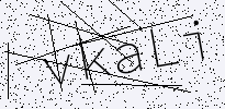 captcha verification